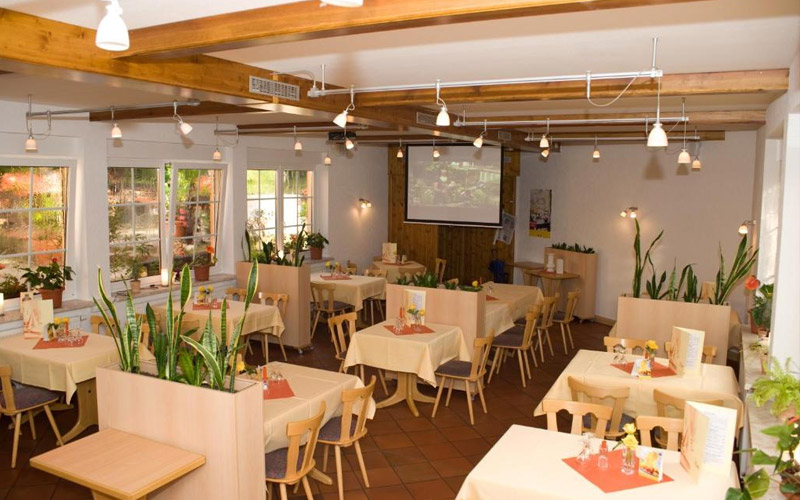 Genussvoll speisen im Restaurant Zur Weintraube – stilvolles Ambiente und regionale Küche im Herzen von Jena. Innenansicht des Restaurants Zur Weintraube in Jena mit elegant gedeckten Tischen, warmem Licht und gemütlicher Atmosphäre für kulinarische Genussmomente.